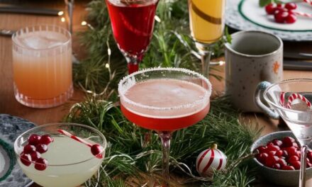 How to Make the Perfect Holiday Cocktail 🍸